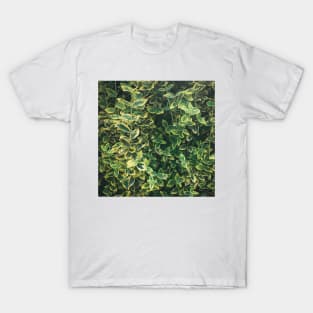 Green & Yellow Garden Leaves T-Shirt